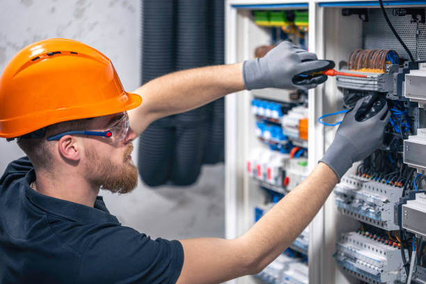Best Electric Panel Repair  in Progress Village, FL